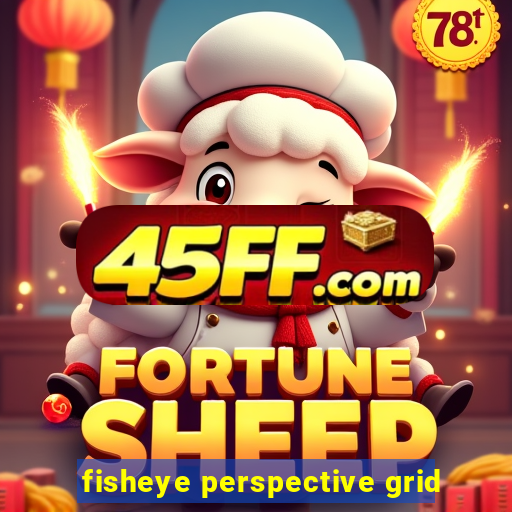fisheye perspective grid